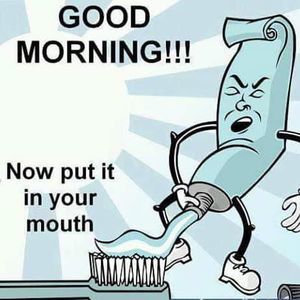 Meet your Posher, Steven